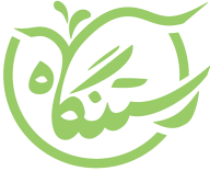 digital agency